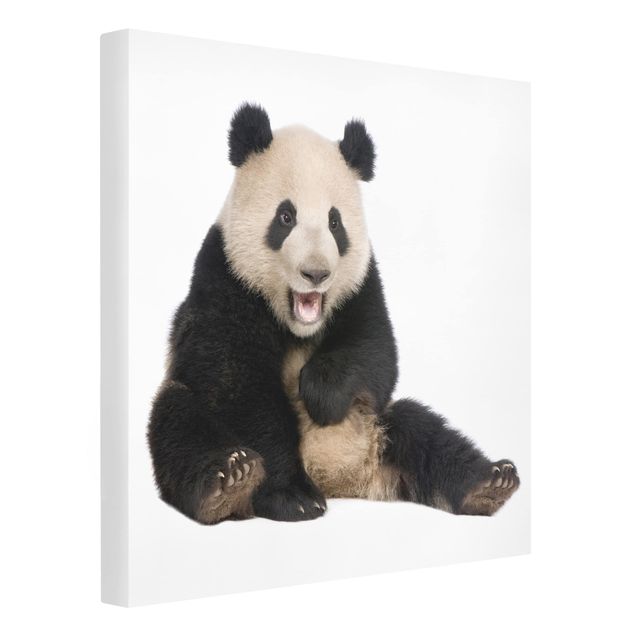 Tableaux animaux Laughing Panda