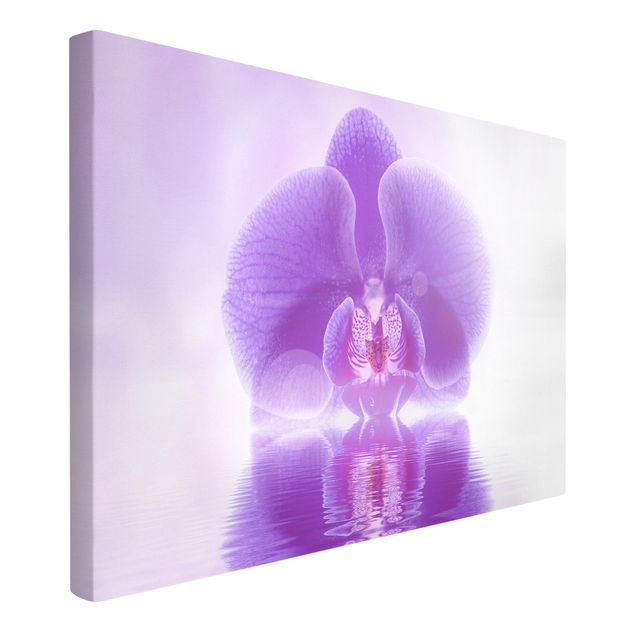 Tableau moderne Orchidée violette sur l'eau
