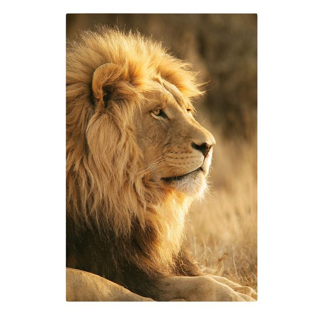 Tableaux moderne King Lion