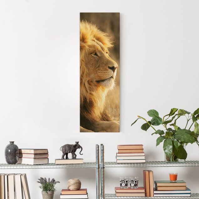 Tableau lion King Lion