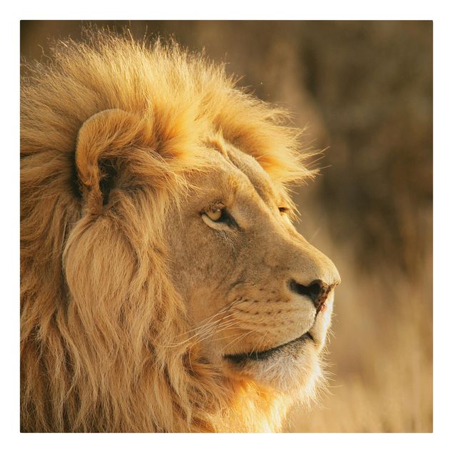 Tableaux moderne King Lion