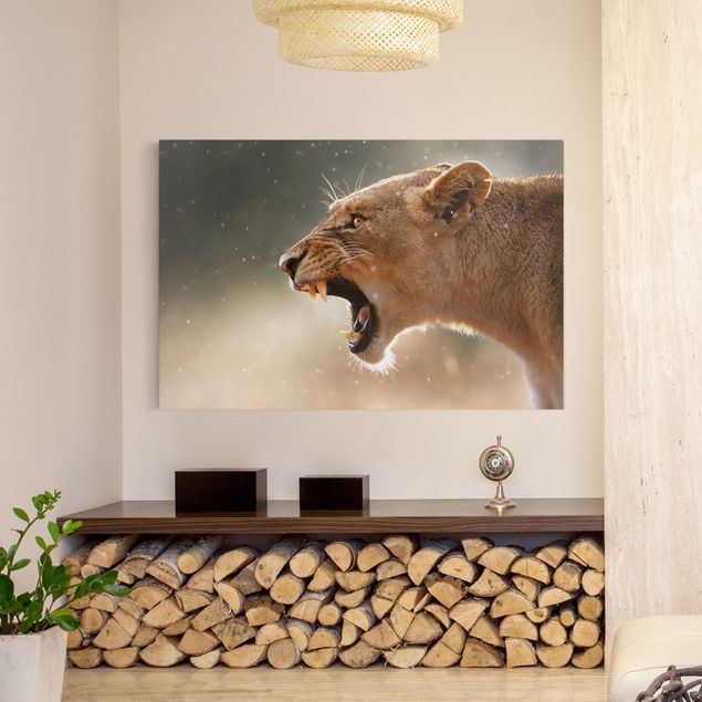 Tableau lion Lionne en chasse