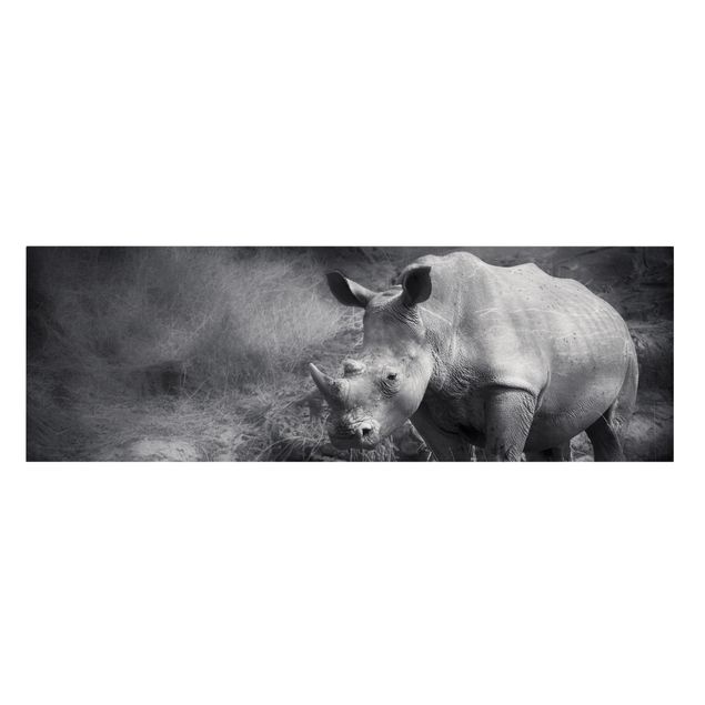 Tableaux noir et blanc Rhinocéros solitaire