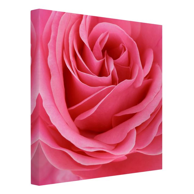 Tableaux fleurs Lustful Pink Rose