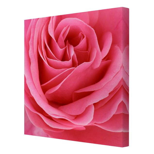 Tableaux Lustful Pink Rose