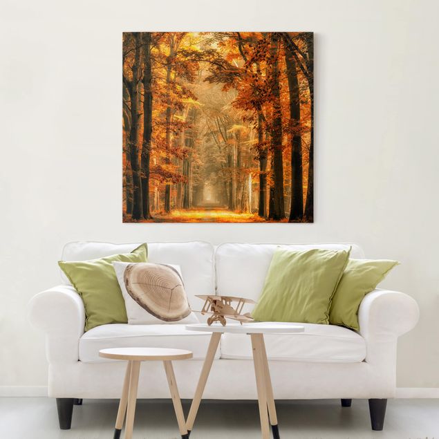Tableau paysage Forêt enchantée en automne