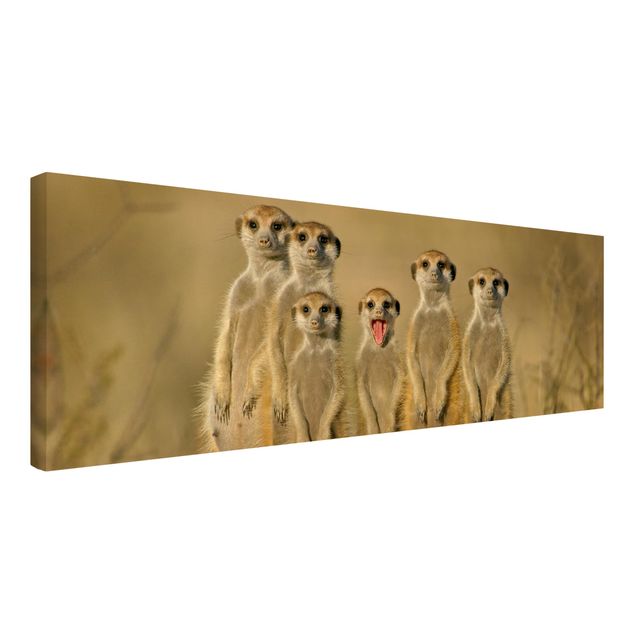 Tableau animaux afrique Famille de suricates