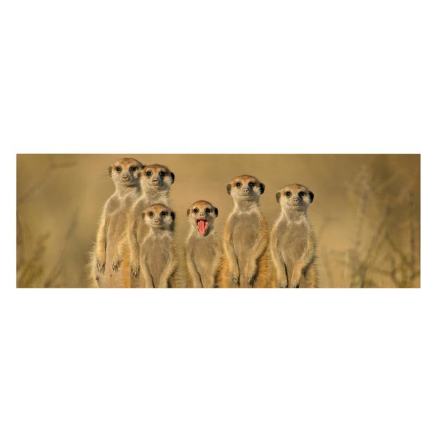 Tableaux muraux Famille de suricates