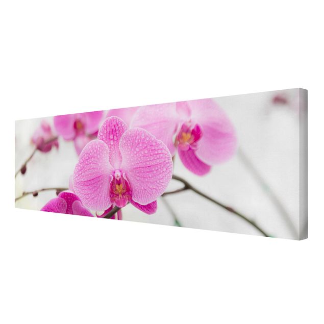 Tableaux florals Gros plan sur une orchidée