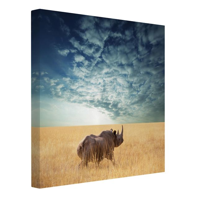 Tableaux modernes Rhinocéros dans la savane