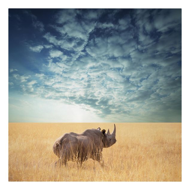 Tableaux animaux Rhinocéros dans la savane