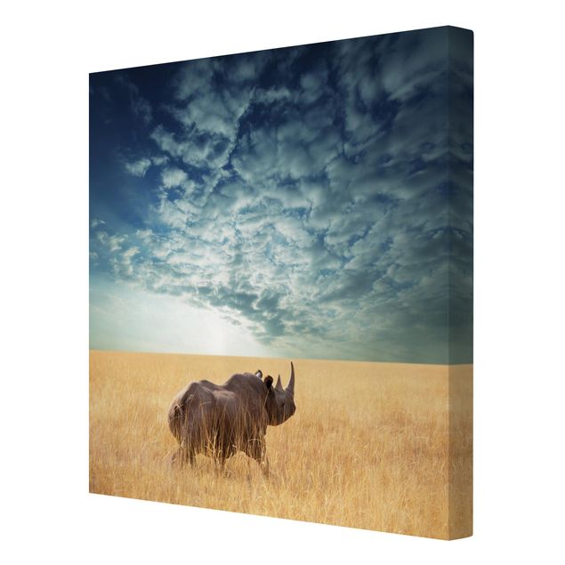 Tableaux nature Rhinocéros dans la savane