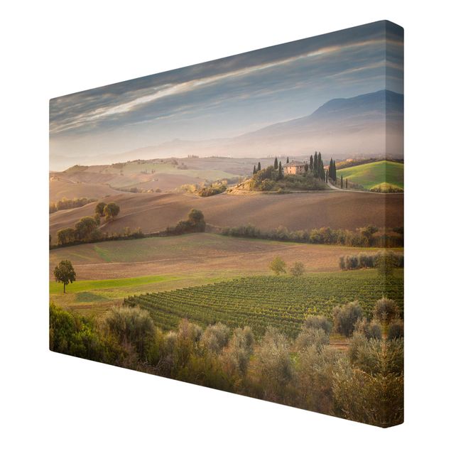 Tableau toile paysage Oliveraie en Toscane
