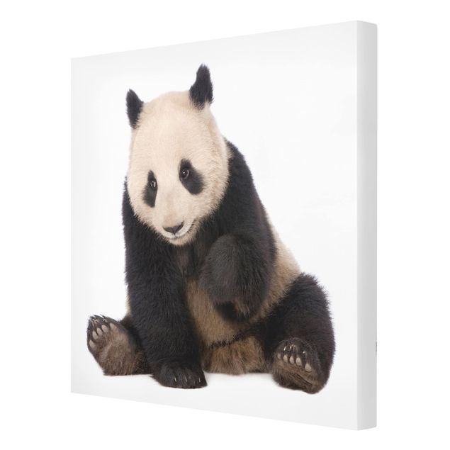 Tableaux Pattes de panda
