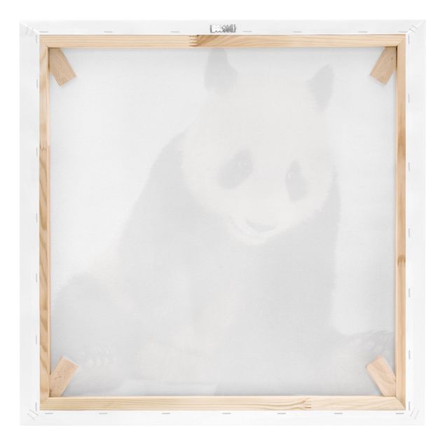 Tableaux toile Pattes de panda