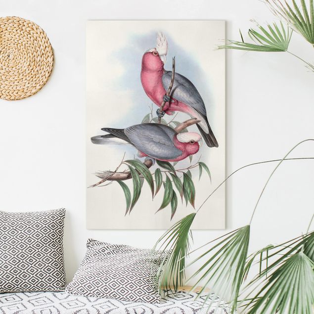 Tableaux oiseaux sur toile Perroquets au pastel II