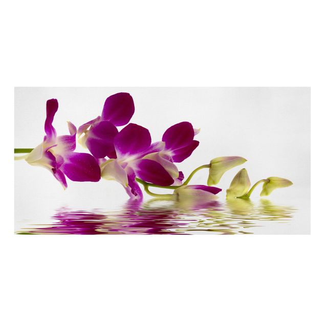 Tableaux fleurs Eaux d'orchidées roses