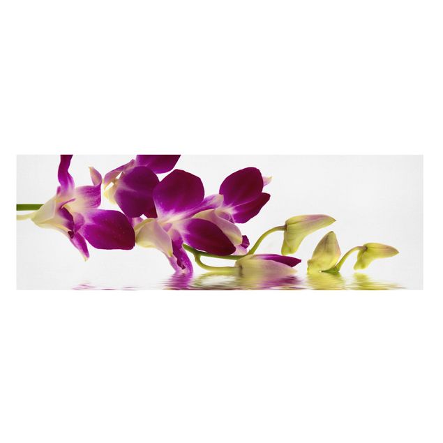Tableaux fleurs Eaux d'orchidées roses
