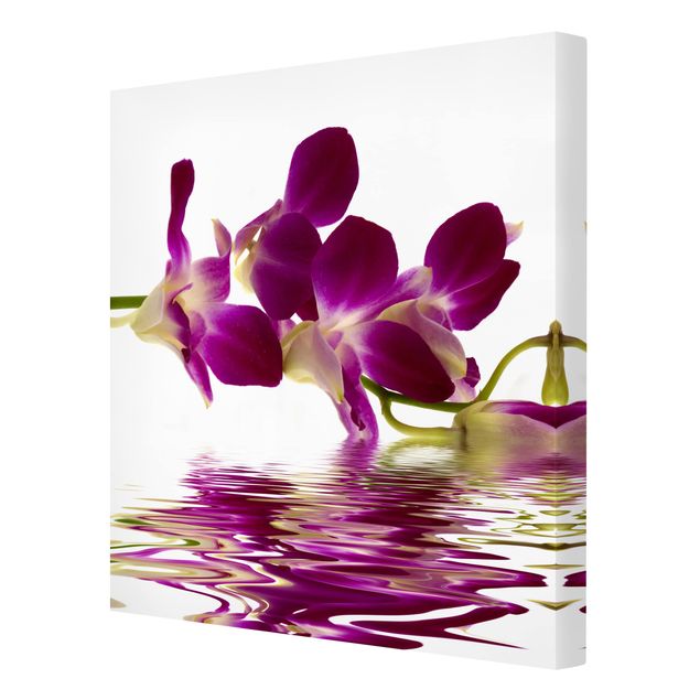 Tableaux florals Eaux d'orchidées roses