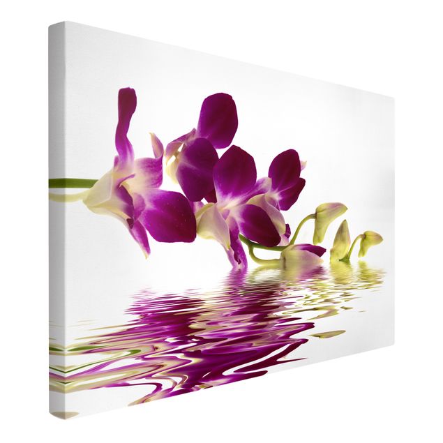 Tableaux modernes Eaux d'orchidées roses