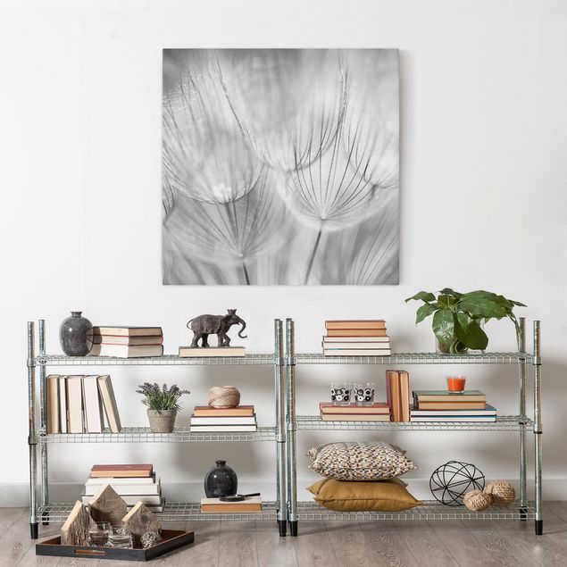 Tableau toile lion Pissenlits en macrophotographie en noir et blanc