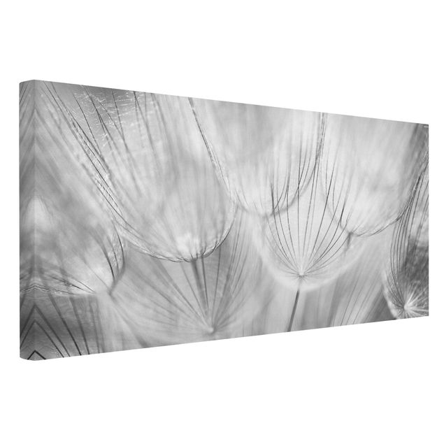 Tableaux moderne Dandelions macro shot in black and white