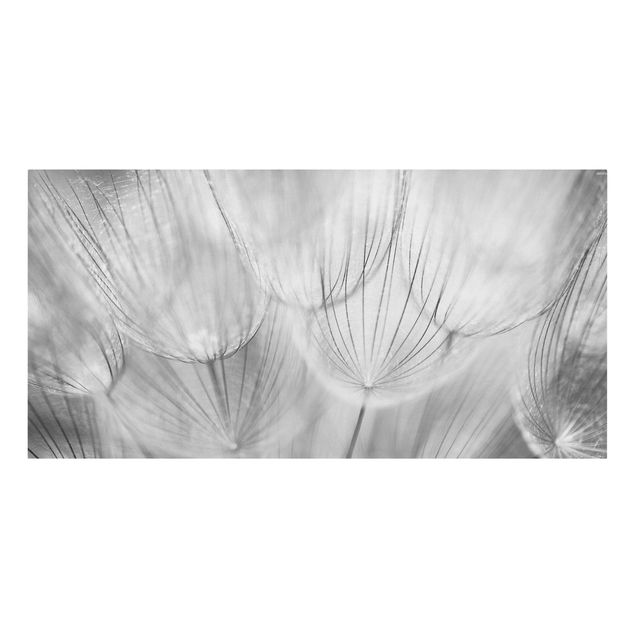 tableaux floraux Dandelions macro shot in black and white
