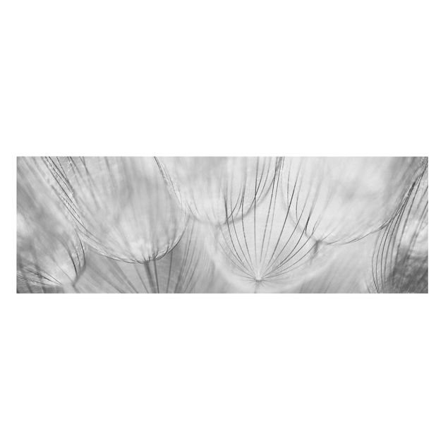 Tableau fleurs Pissenlits en macrophotographie en noir et blanc