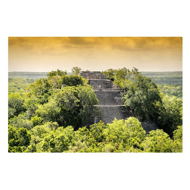 Tableaux nature Pyramide de Calakmul