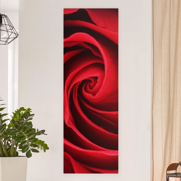 Tableaux modernes Red Rose Blossom