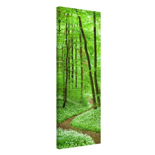 Tableaux modernes Chemin de forêt romantique