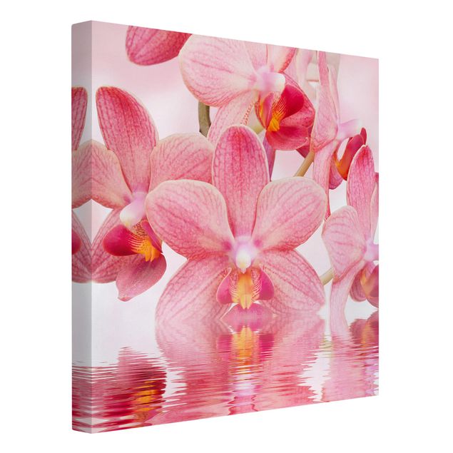 Tableaux modernes Orchidée rose clair sur l'eau