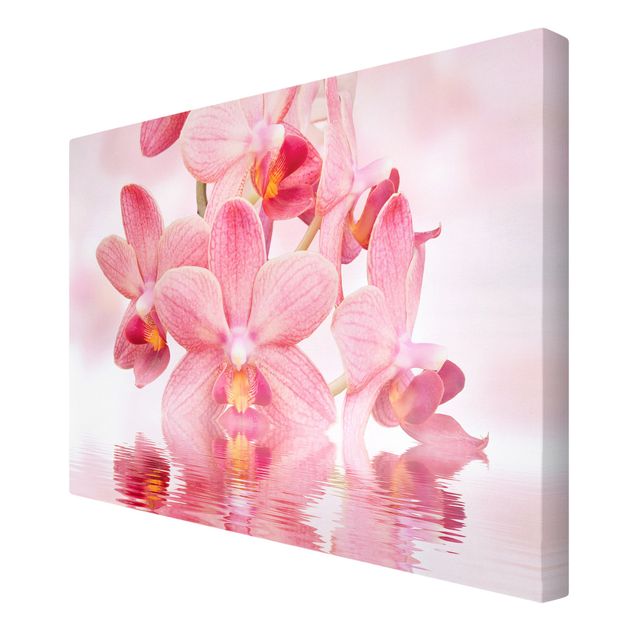Tableaux florals Orchidée rose clair sur l'eau