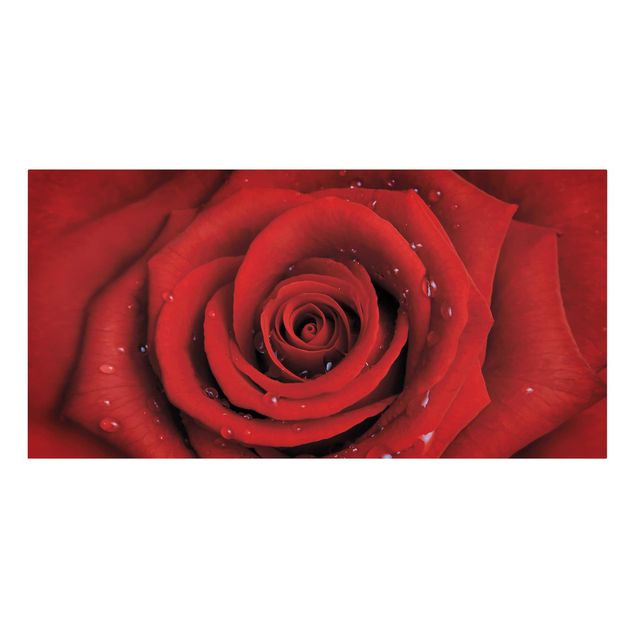 Tableau amour Rose rouge avec gouttes d'eau