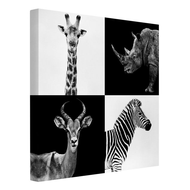Tableaux sur toile en noir et blanc Quatuor Safari