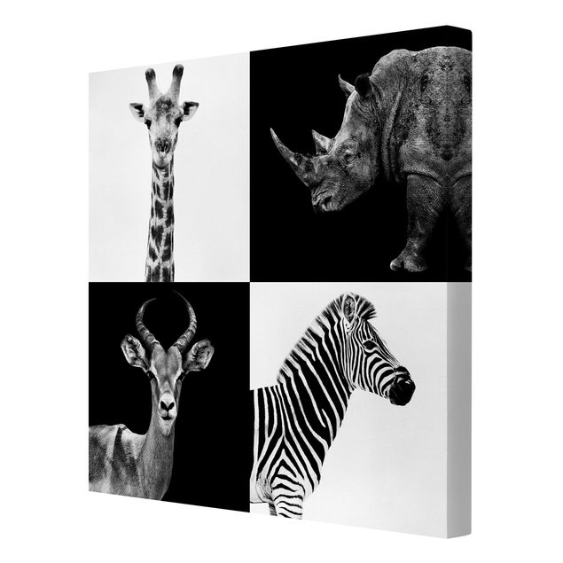 Tableaux animaux Quatuor Safari