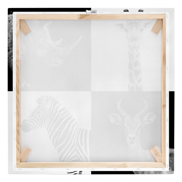 Tableaux noir et blanc Quatuor Safari