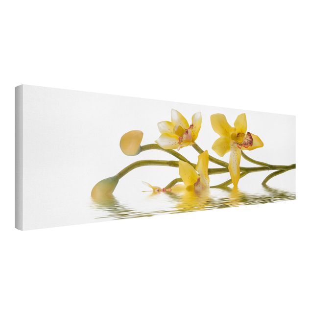 Tableaux modernes Eaux d'orchidées safranées