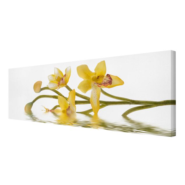 Tableaux florals Eaux d'orchidées safranées