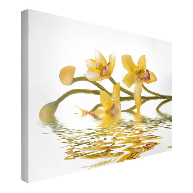 Tableaux modernes Eaux d'orchidées safranées