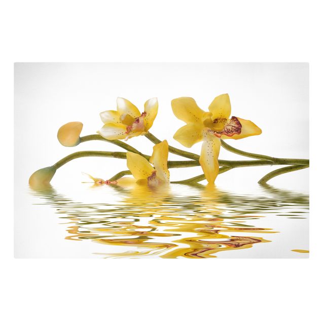 Tableaux fleurs Eaux d'orchidées safranées