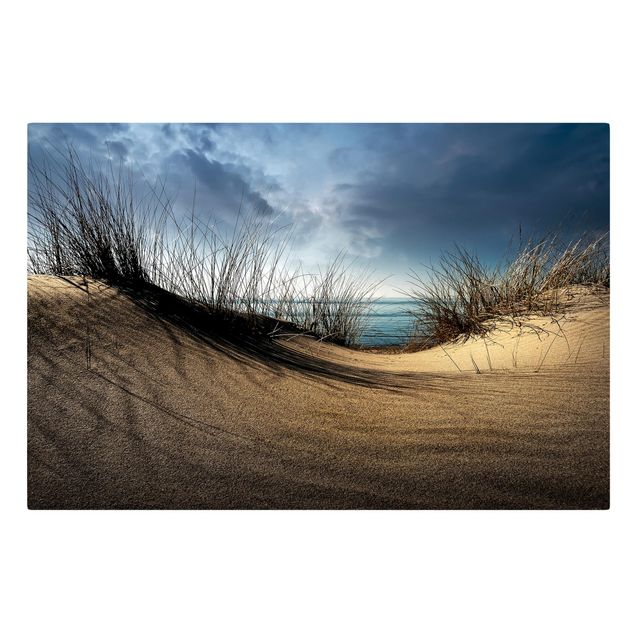 Tableaux plage Dune de sable