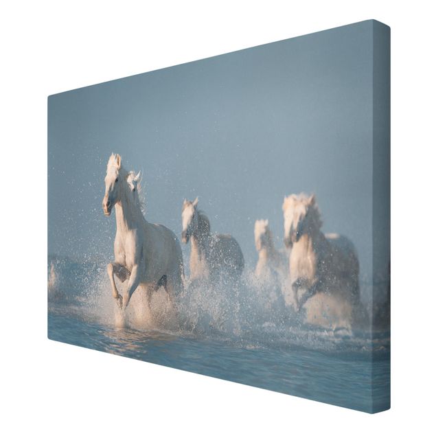 Toile imprimée animaux Troupeau de chevaux blancs