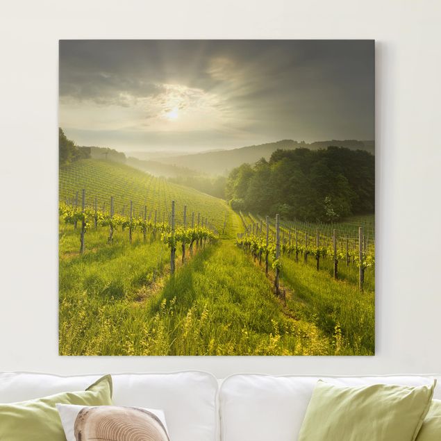 Tableau paysage Vignoble de rayons de soleil
