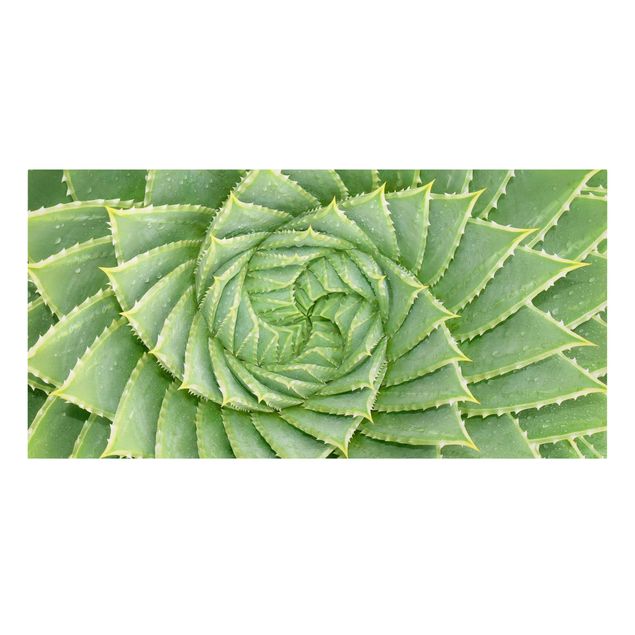 Tableau vert Aloès en spirale