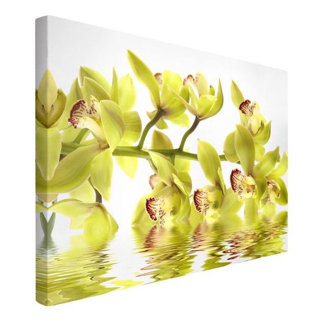 Tableaux moderne Splendide eau d'orchidée
