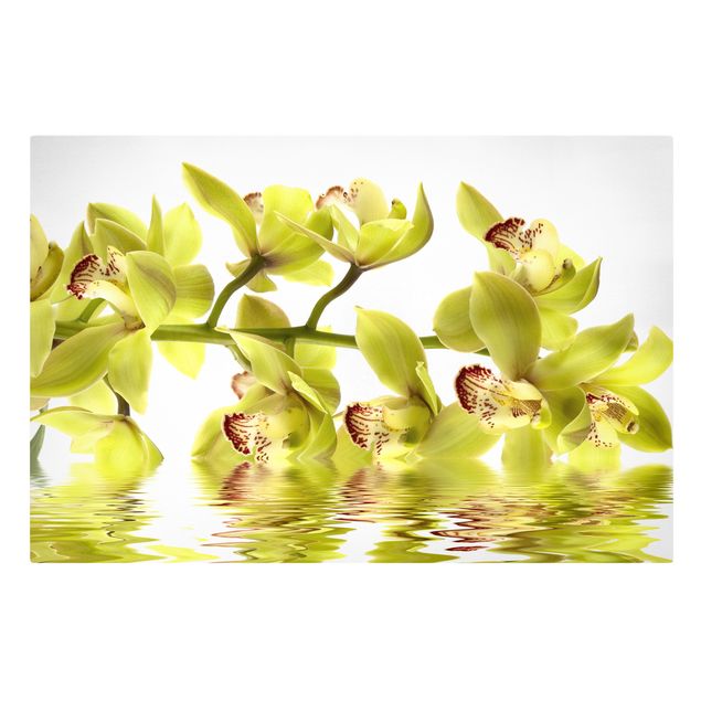 tableaux floraux Splendide eau d'orchidée