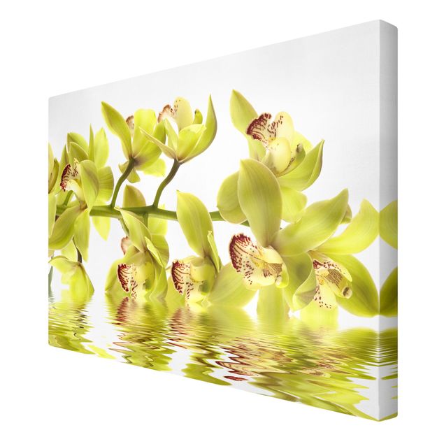 Tableau floral mural Splendide eau d'orchidée