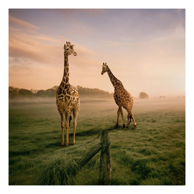 Tableaux modernes Surreal Giraffes