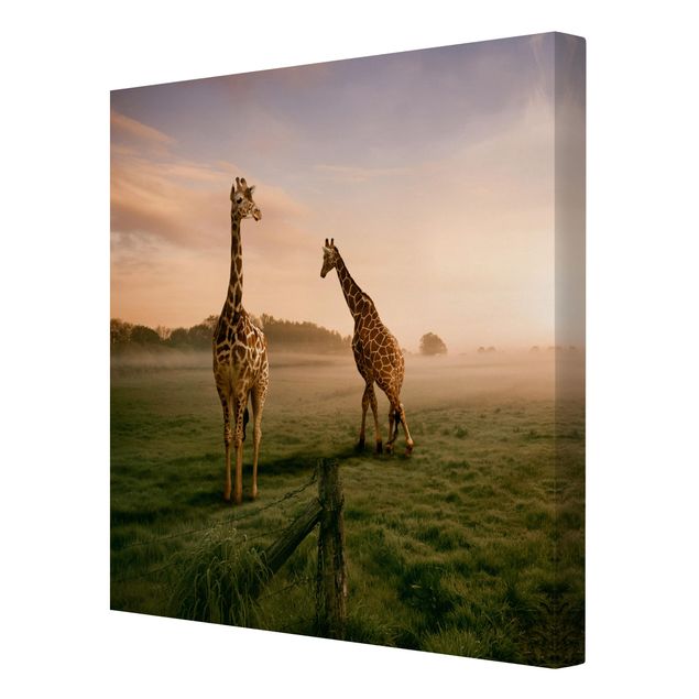Tableaux animaux Surreal Giraffes
